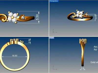 Light weight ring model  3D print model 10