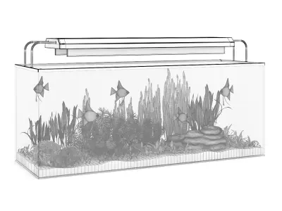 Rectangular Aquarium with Light 3D model