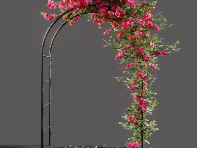 Arch pergola with roses 3D model