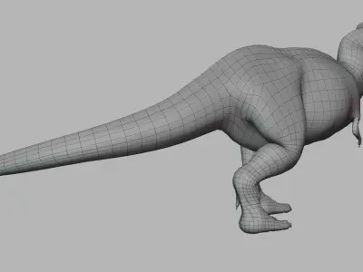  Tyrannosaurus Rex T-Rex Anatomically Accurate Model 