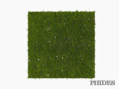 Daisies meadow patch 1 3D model