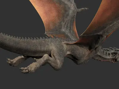  Dragon Black Rigged 