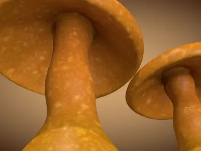 Mushroom 1 two mushrooms Low-poly 3D model