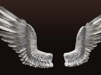 Pair of Bird Wings C4D  Low-poly 3D model