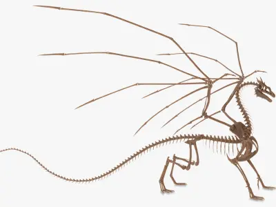  Fossilized Dragon Skeleton 