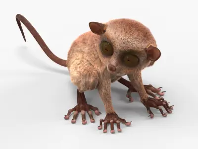  Tarsier Fur for Cinema 4D Rigged 