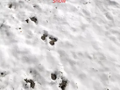 Snow ground Scan 10k 3D model