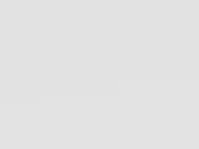 Drone with Dual Camera Foldable RC Quadcopter with Carrying Case Low-poly 3D model