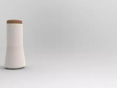 Buha Food Storage Box Low-poly 3D model