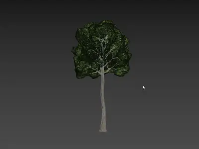 Low Poly Tree Stylish Low-poly 3D model