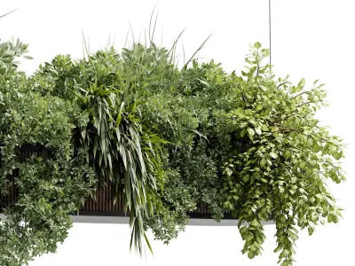 Hanging Plants - Indoor plant 505 corona 3D model