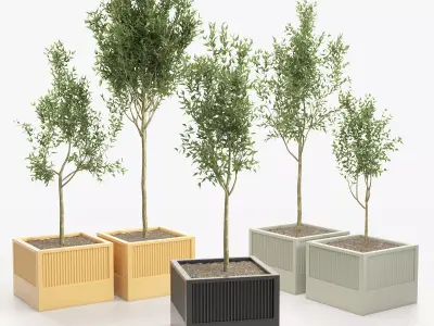 Icaria by esteve bonell 3D model