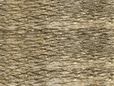 Pirate Aztec ruins 3D model