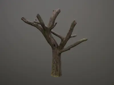 Topped Tree Low-poly 3D model