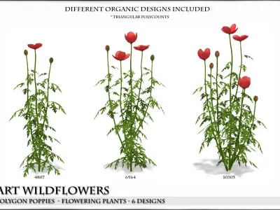 Low Polygon Poppies for Games and Architectural Visualisation Low-poly 3D model