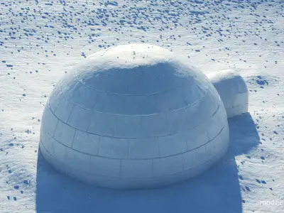 Igloo in snow 3D model