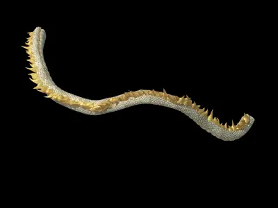 Shinomiya village dragon middle 3D model