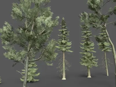PINE TREE PACK Low-poly 3D model
