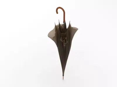Umbrella 3D model
