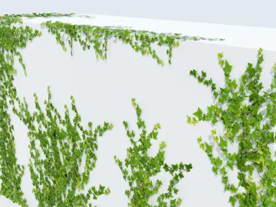 LowPoly Ivy wall Low-poly 3D model
