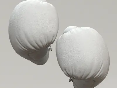 Everlast Realistic Boxing Gloves Low-poly 3D model