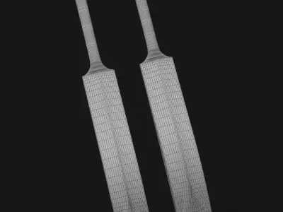 Cricket Bat CA 3D model