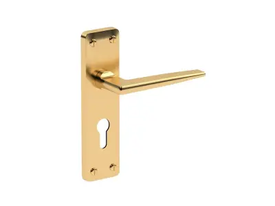 Kendal Door Handle Brass 3D model