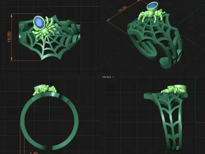 Spider Web Rings 3D print model
