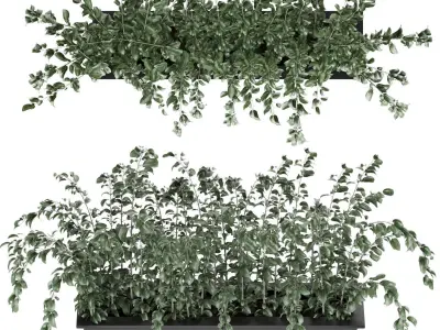 plant 001 Free 3D model