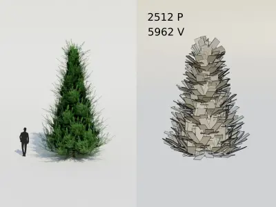 Spruce Fir Trees pack Low-poly 3D model