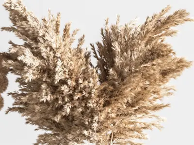 Dry flowers bouquet vase 09 3D model