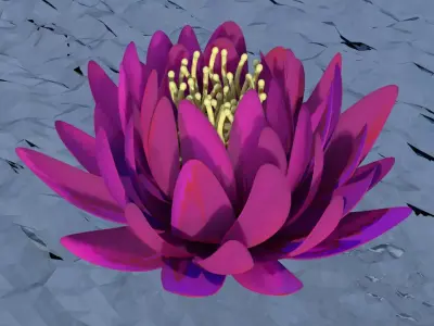 Lotus flower Free 3D model