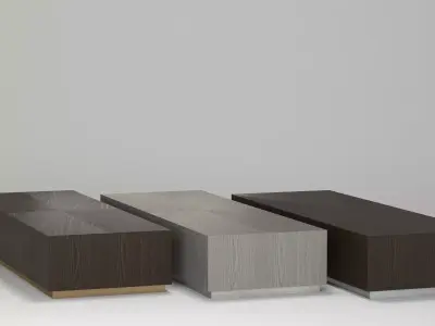 Machinto Rectangular Coffee Table 3D model