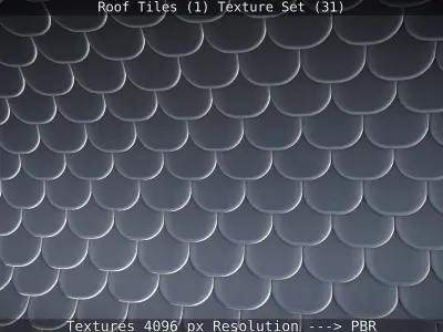 Roof Tiles 1 Texture Set 31 Low-poly 3D model