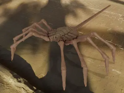 Alien facehugger rigged for blender Low-poly 3D model