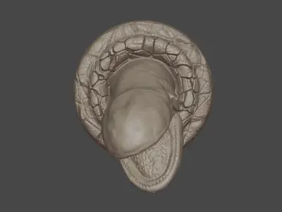 Space Slug 3D print model