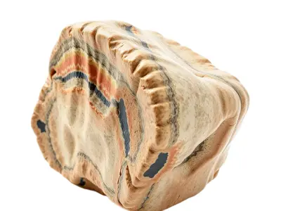 Marbled Wood Texture model pack Texture