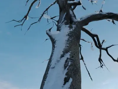 Photorealistic Apple Trees  Low-poly 3D model