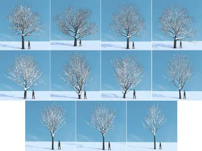  Eleven Trees 4 (+Growfx) 