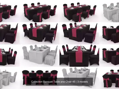 Collection Banquet Table and Chair 45 3D Model Pack
