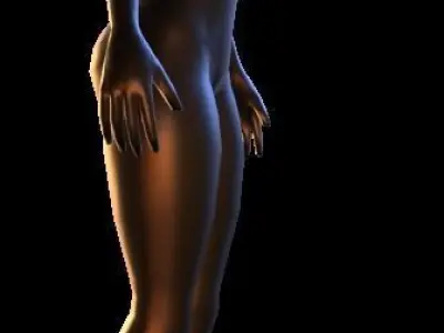 women anatomy 3D model