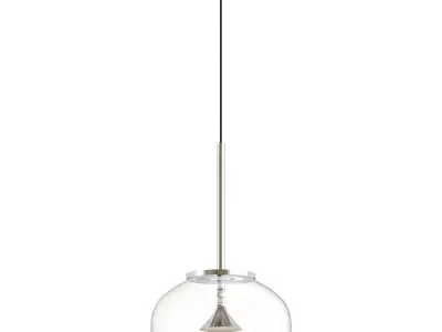ALIVE modern pendant light with clear glass shade 3D model