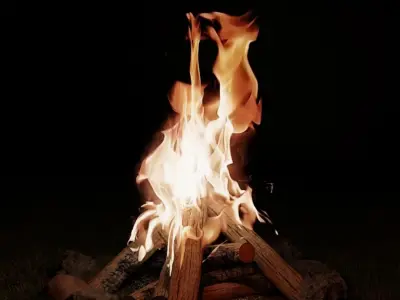 Bonfire fire pit with logs for campfire  3D model