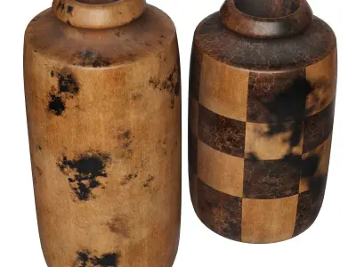 Wooden Vases 3D model