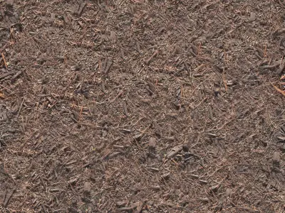 Pine Dirt Seamless Material Texture
