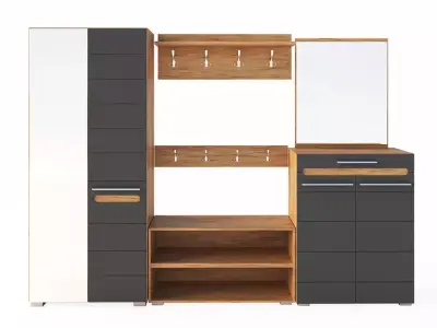Wardrobe with drawers and shelves 3D model