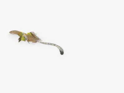 Coconut Palm Tree 1192 Low-poly 3D model