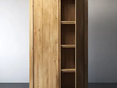 RECLAIMED RUSSIAN OAK PANEL DOUBLE-DOOR CABINET 3D model