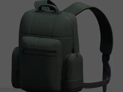 Backpack bag baggage Color 3d low poly Low-poly  Low-poly 3D model order
