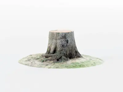 Tree Stumps 6 Photoscanned Low-Poly Low-poly 3D model